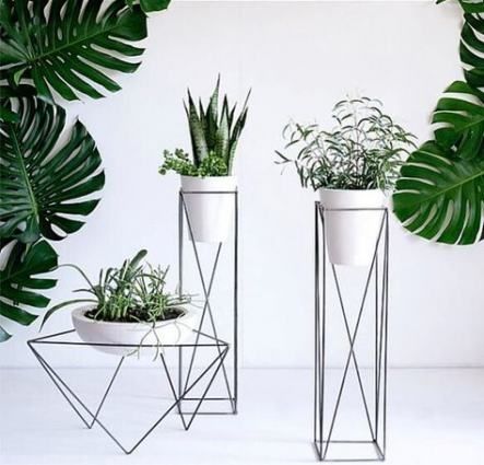 ooty Opens Flagship Store in Paris